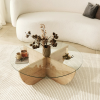 lily sapphire oak konfere n stol k dub s6f9d8d91